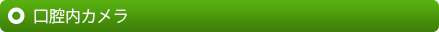 口腔内カメラ